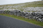 Stone walls and karst pavements and topography of the Burren approx 5km south of Ballyvaughan Co Clare Ireland. Exposures of the Dinantian Burren Limestone Formation are composed of shallow water carbonates. Note the clints (limestone blocks) and grikes (joints formed by Variscan folding (Coller, 1984) and fracturing) enlarged by Pleistocene disolution (Williams, 1966).